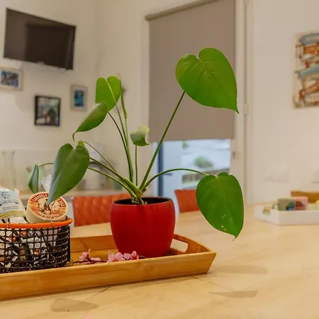 Casita De La Dune - 900m - Jardin بيت للعطل نوتر دام دي مونتس