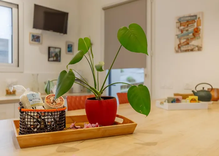 Casita De La Dune - 900m - Jardin Ferienhaus Notre-Dame-de-Monts